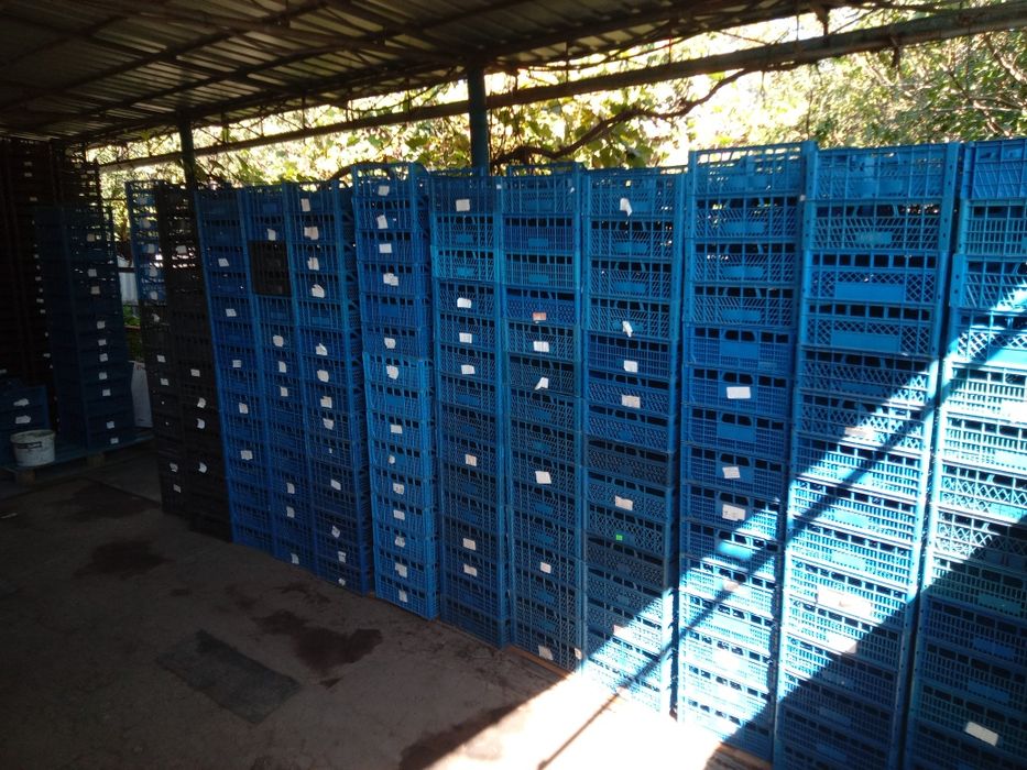 Ящики пластиковые пластмассовые овощные