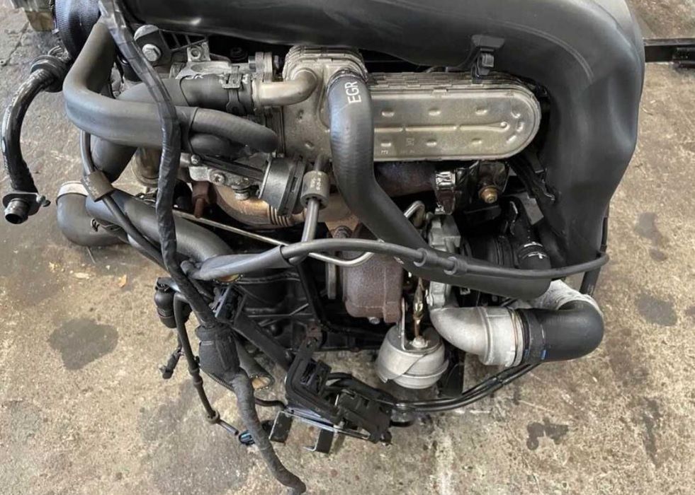 Silnik Kompletny 2.0 Tdi Bkd Audi Vw Seat Skoda 1 miesiecy gwarancji