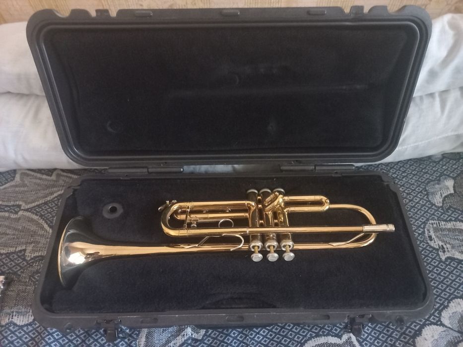 Труба Bach TR300