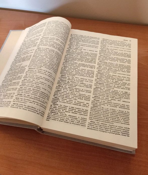 Słownik wyrazów obcych