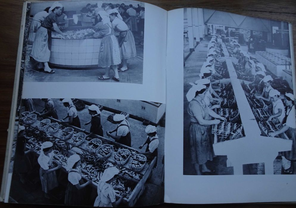 Matosinhos (Leixões) by Frederic P. Marjay - 1st Edition 196464729817139330124