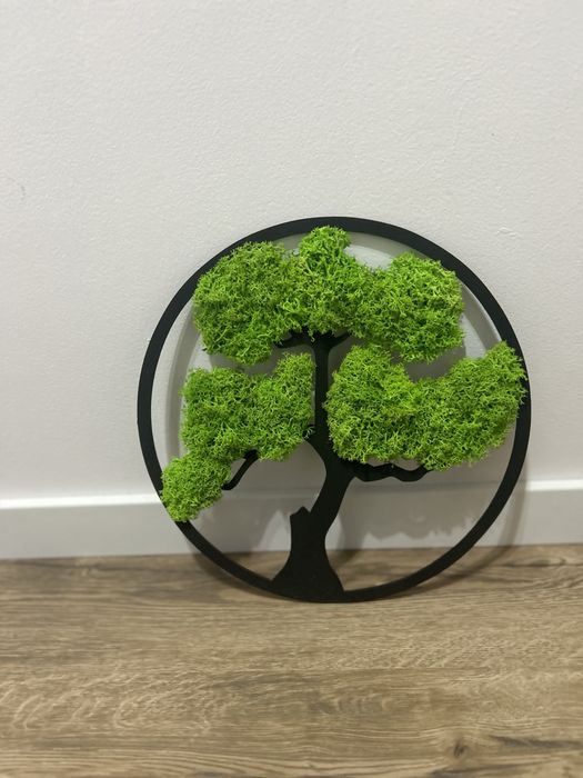 Obraz  Bonsai z  mchem 30cm