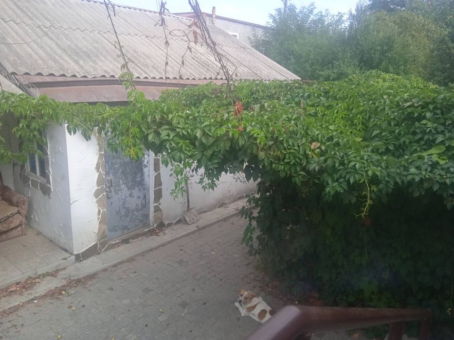 Продам дом Новая Водолага! Центр!