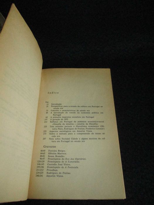Livro Perspectivas do Século XIX Victor de Sá