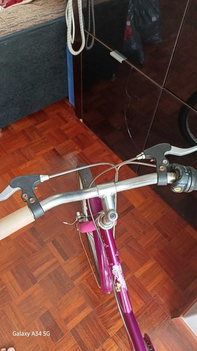 Bicicleta Feminina