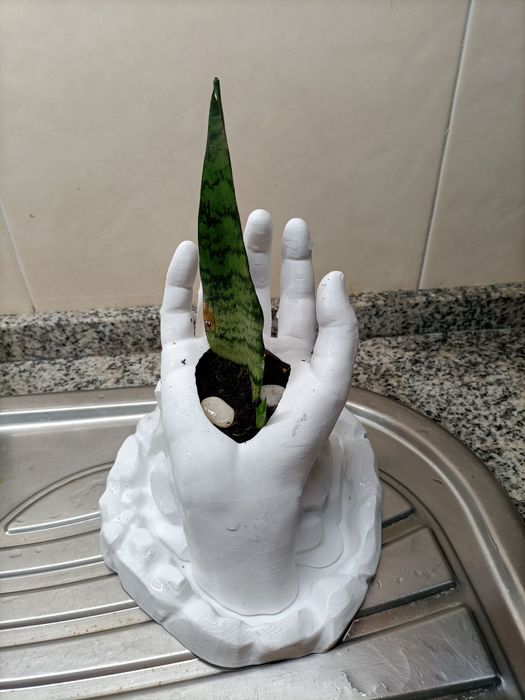 Vasos para suculentas