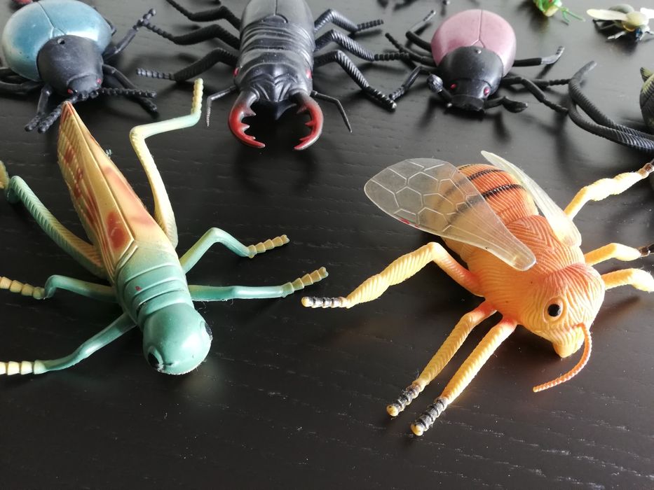 Animais do mar e insectos como novos64739000430722121