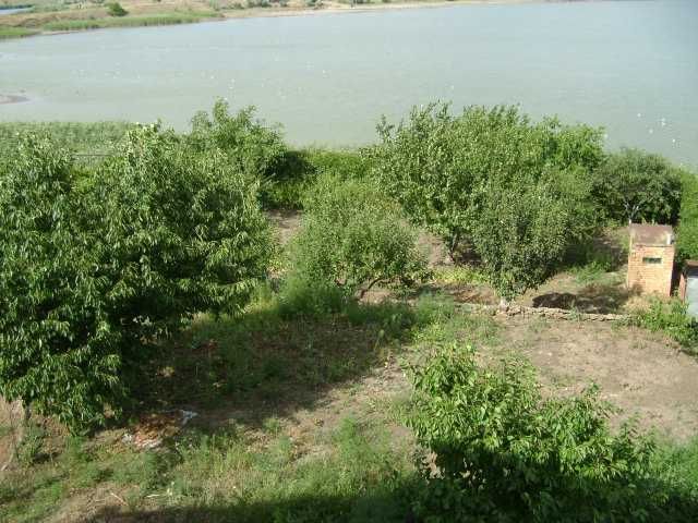 Продам дом в ПЕРВОЙ ЛИНИИ ЛИМАНА, в 2км от Одессы,236кв.м на 12 сотках