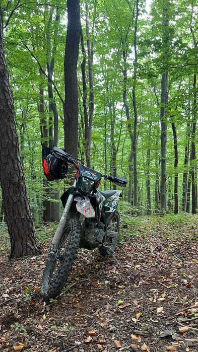 Asix xt97 300 polecam