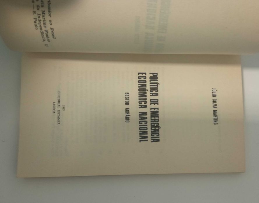 Política de emergência económica nacional, de Júlio Silva Martins