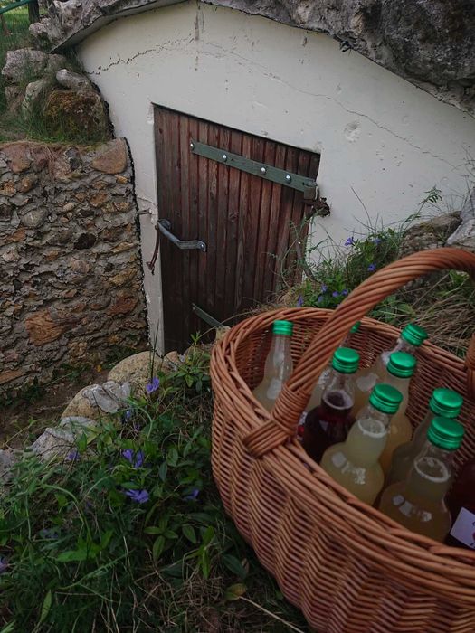 Naturalne octy jabłkowe duży wybór