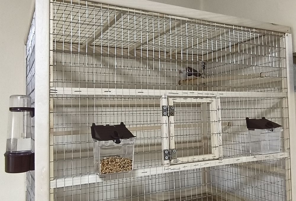 Продам клітку для птахів