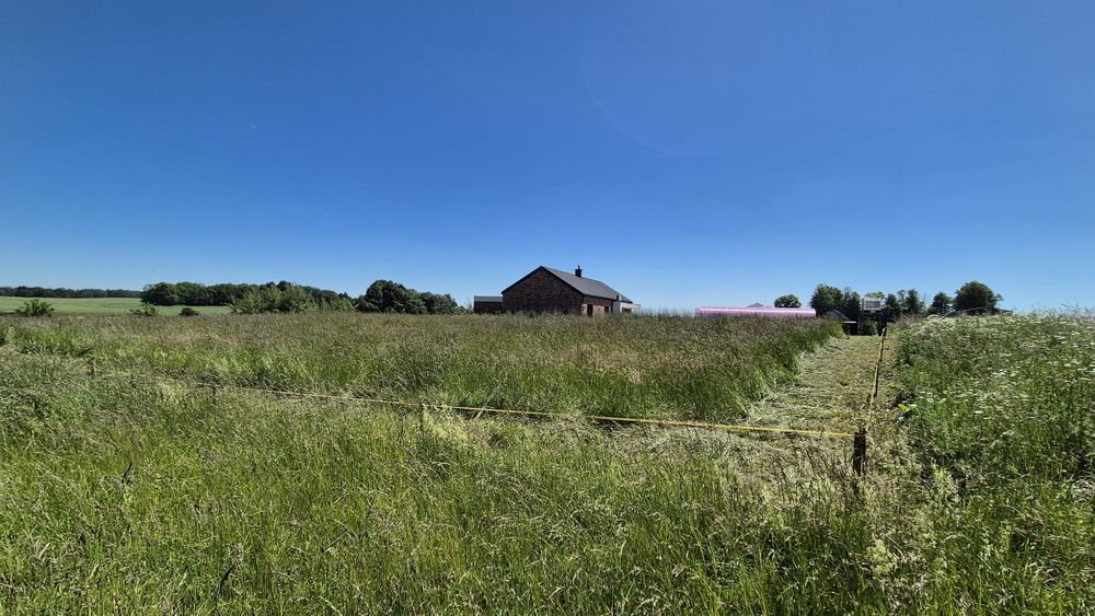 Atrakcyjna działka budowlana przy Lesie Miejskim w Giżycku 1519 m² warunki zabudowy WZ - Widok 3