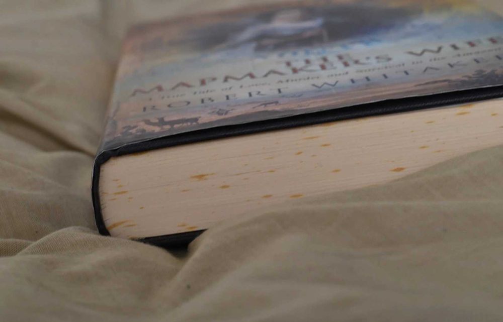 Livro "The Watchmaker's Wife", Robert Whitaker
