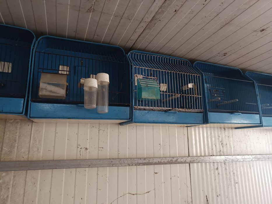 Gaiolas de exposição