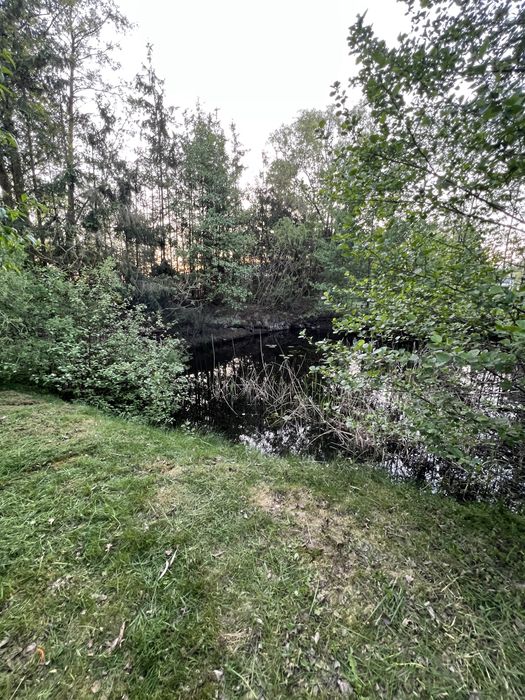 Działka budowlana ze stawem rekreacyjnym - Widok 2