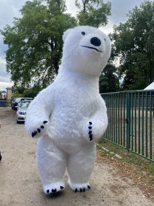 Sprzedam Biały Miś 2.8 m