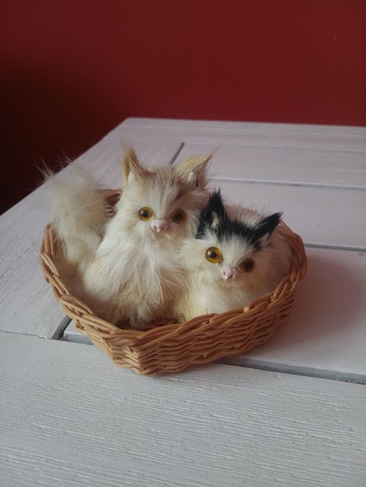 Dwa kotki w koszyku
