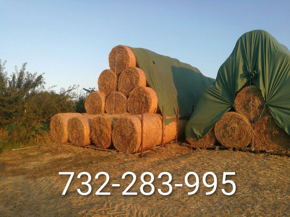 Sprzedam słome w belach