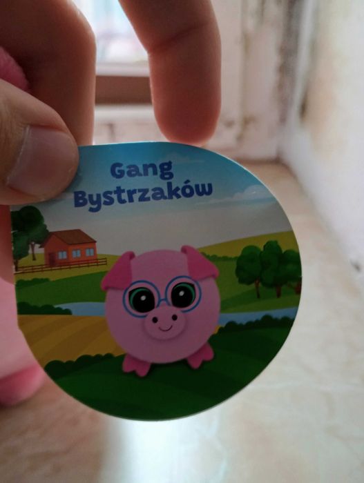 Świnka Skarbonita Gang Bystrzaków | NOWA Z METKĄ | Okazja