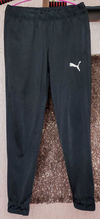 Чоловічий спортивний костюм Puma