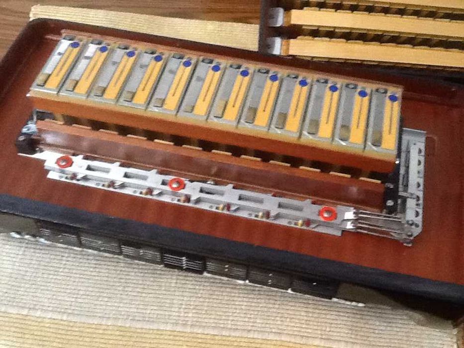 Acordeão PIGINI para venda