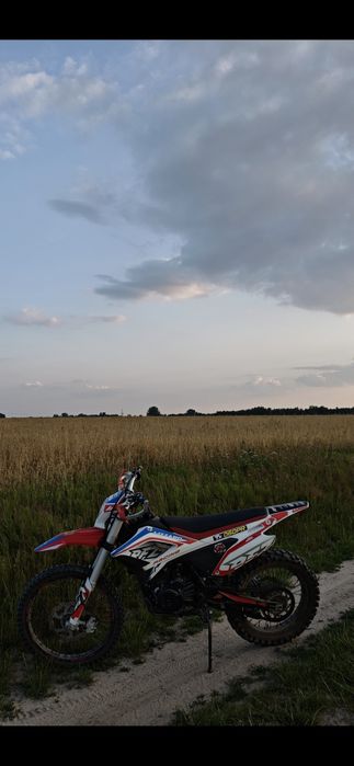 Lizzard RFZ 250r