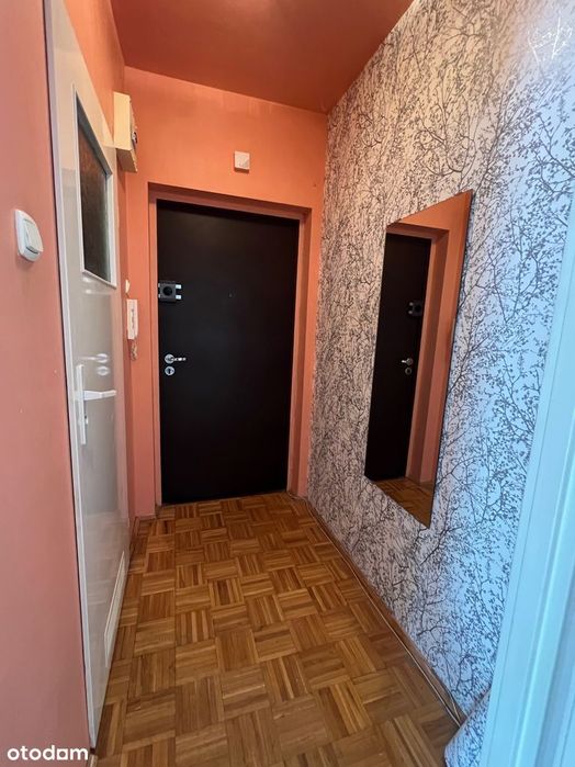 Zdjęcie 5