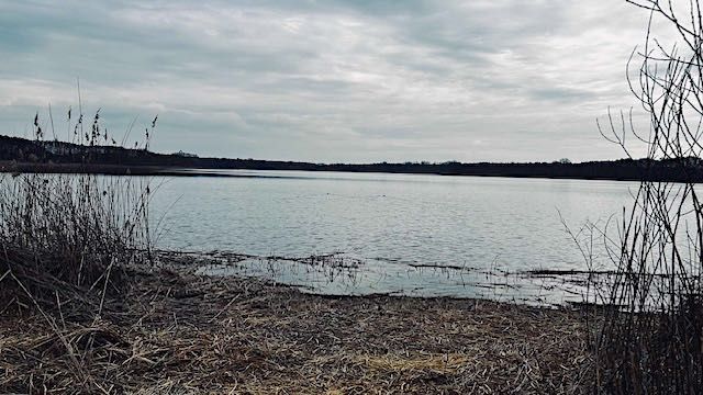 Działkę nad jeziorem, blisko Powidza, starodrzew, woda i prąd na działce