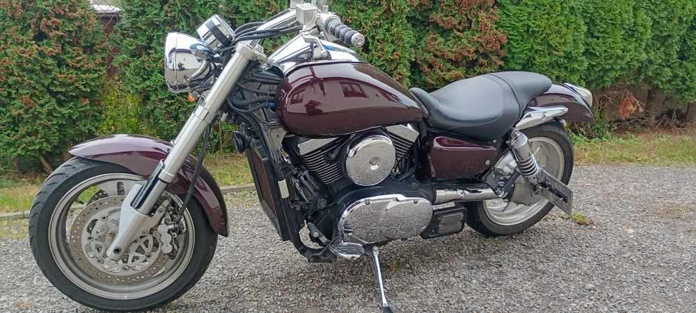 Cobra Moto