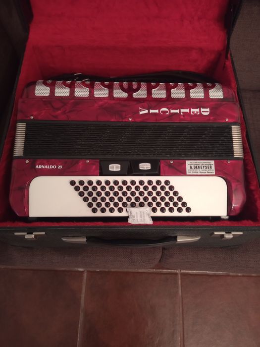 Acordeão semi-novo