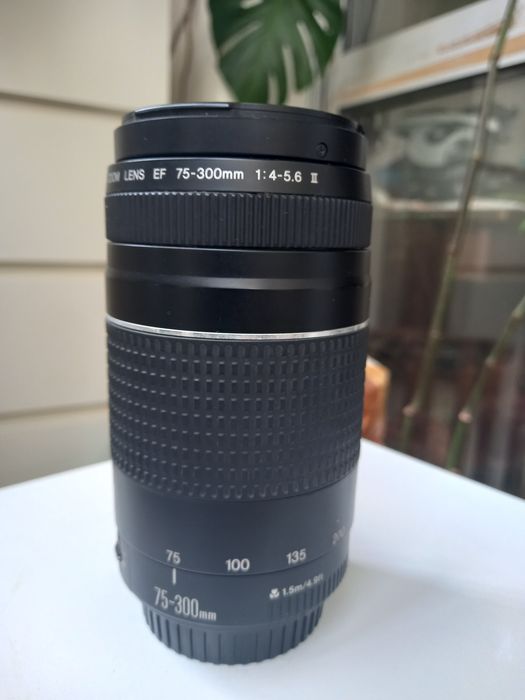 Objetiva Canon Zoom 75-300mm f/4-5.6 Ø58mm versão II