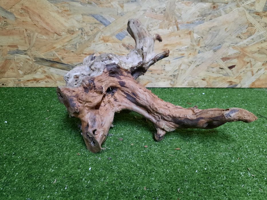 Korzeń do akwarium Red Moore Wood nr 843 o wymiarach 32/21/21