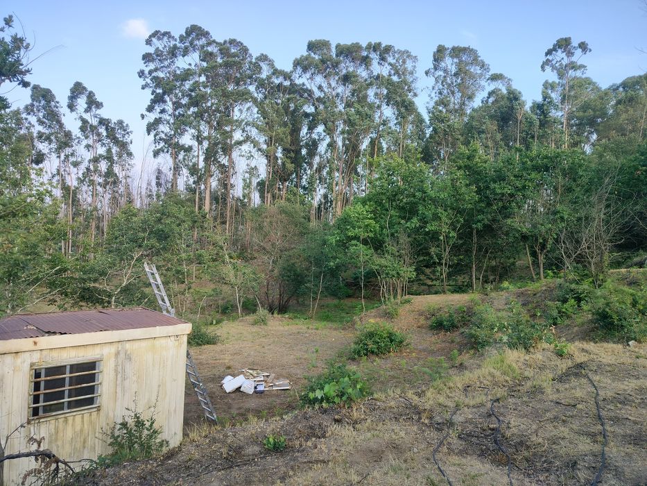 terreno para viver em off grid