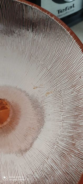 Owocarka szkło Cora PRL