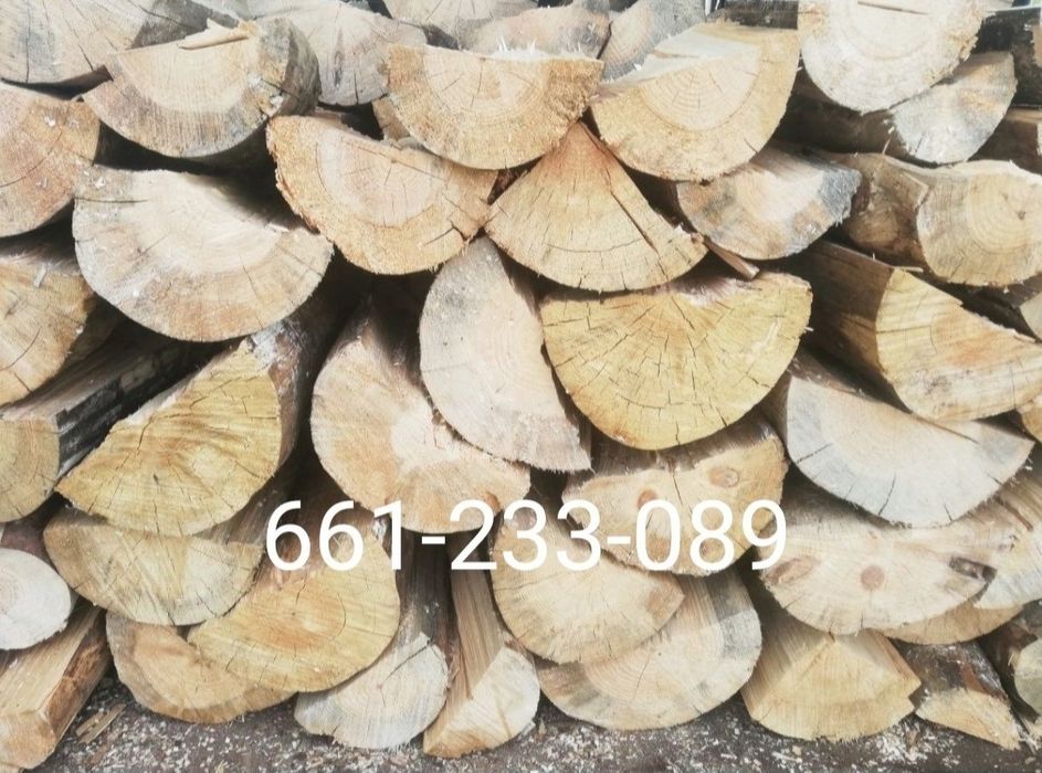 Suchutka sosna, opałowa