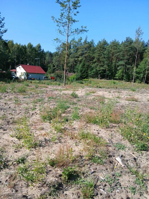 KASZUBY działki budowlane WZ Struga Gmina Stara Kiszewa pow. Kościerski. - Widok 2