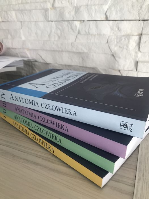 Anatomia człowieka  Narkiewicz Moryś wszystkie części
