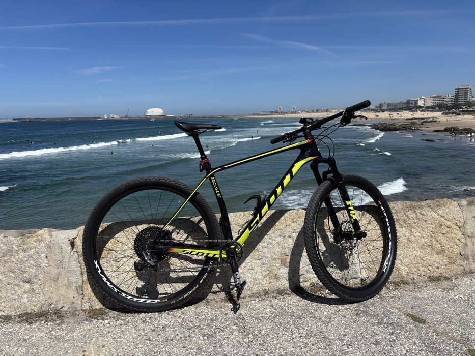Scott scale carbono
