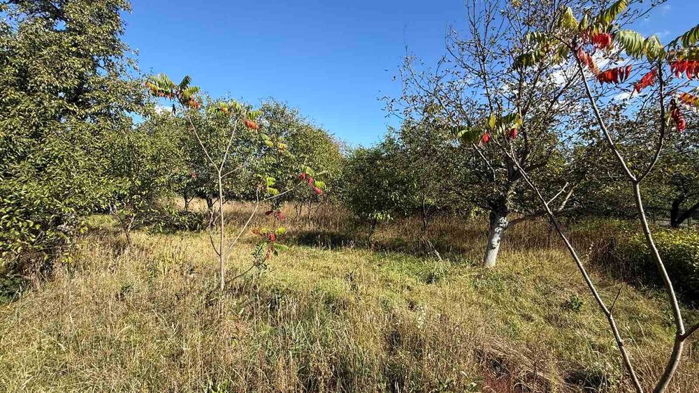 Продаж будинку Колонщина вул.Шевченка 108 60сот