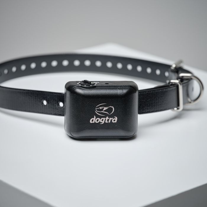 Coleira Antilatidos de Cão de Caça Dogtra YS 300