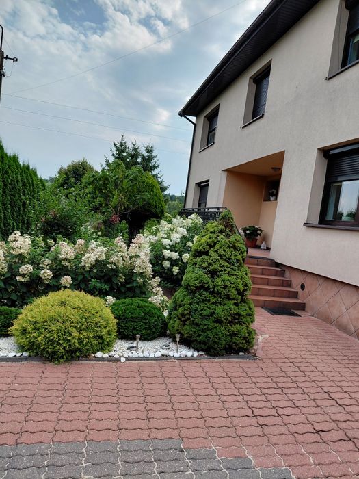 Sprzedaż domu z działką