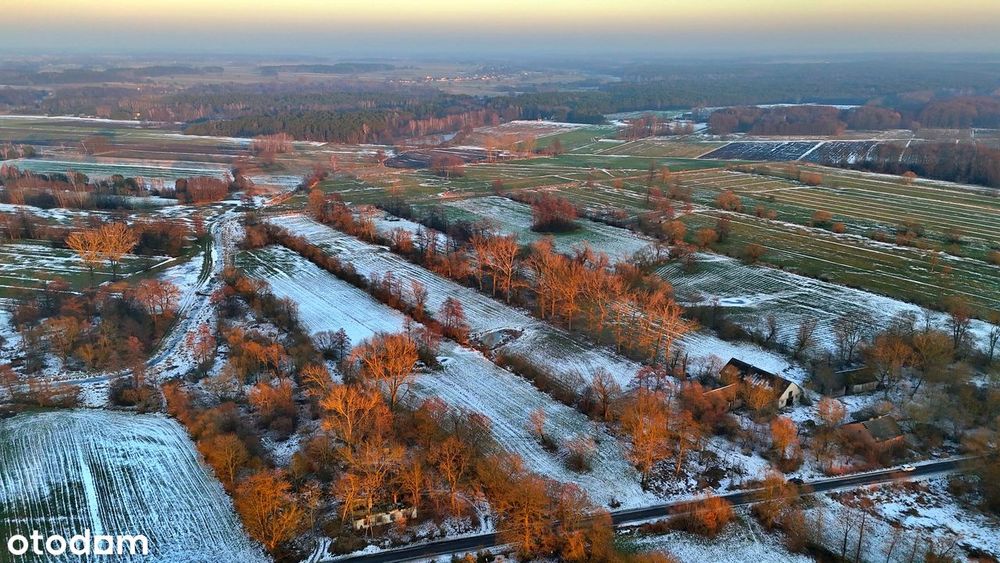 Działka z WZ | 8 666 m² | Feliksów, gm. Poddębice | 250 000 zł