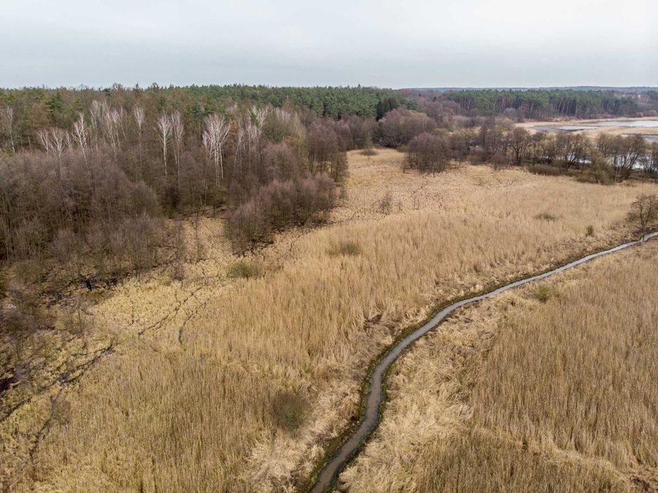 Siedlisko stare stawy 11,5 h