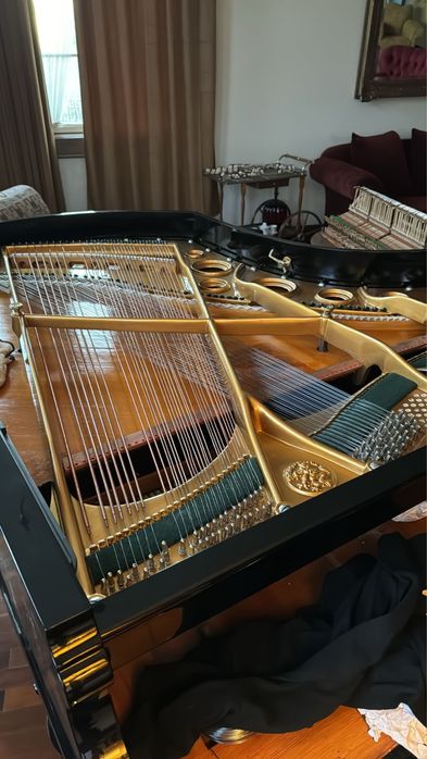Piano 1/4 cauda