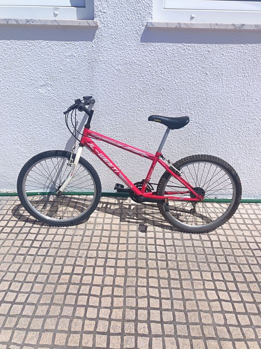 Bicicletas baratas para desocupar