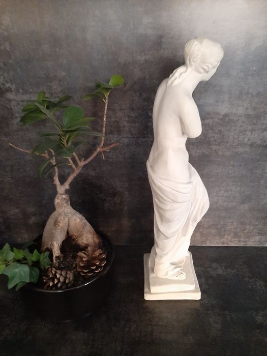 Afrodyta posąg gipsowy