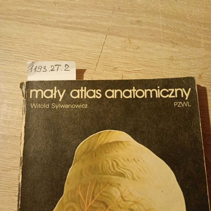 Mały atlas anatomiczny. Witold Sylwanowicz