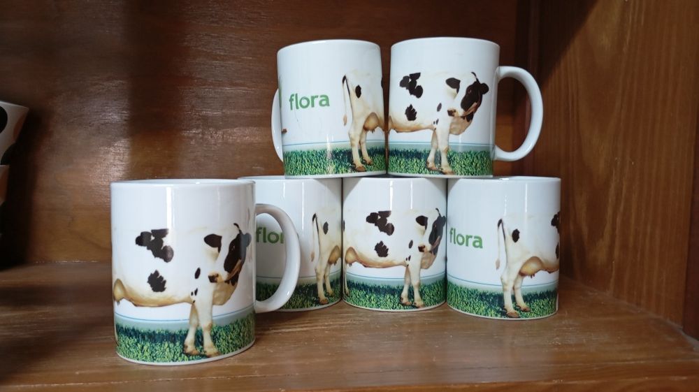 Conjunto 6 Canecas Flora
