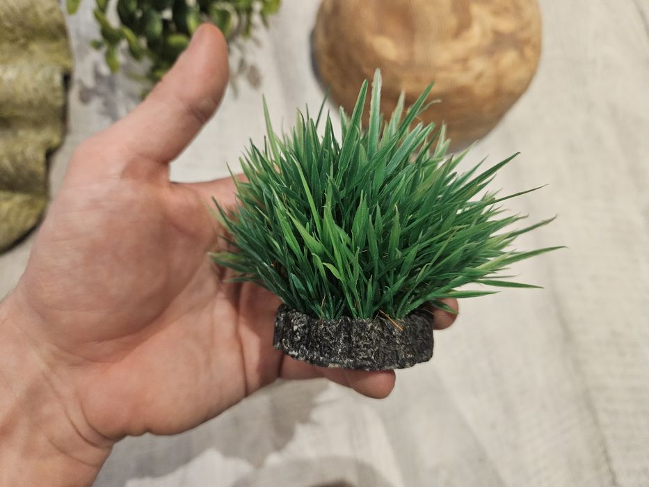 Dekoracje do terarium